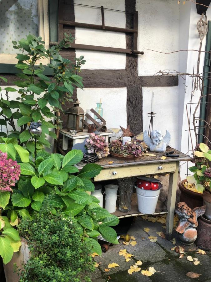 Platzhirsch Seligenstadt - Im Herzen Der Altstadt Bagian luar foto